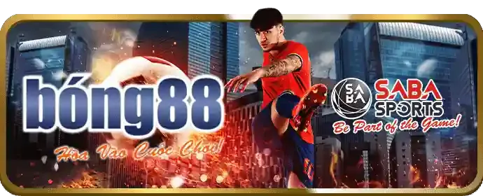 Nền tảng bảo mật vipvin nhà cái